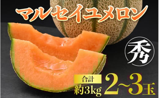 【先行予約】佐藤農園のマルセイユメロン 約3kg前後《秀品》(2～3玉入）深みのある甘さ とろける濃厚な赤肉！農家直送 有機肥料 低農薬 ※2025年6月上旬より順次発送予定 [aw069-a002]