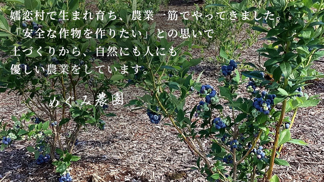 【 最短 7日以内 発送 】 冷凍 ブルーベリー 無選別（ 小玉 ～ 大玉 ） 500g 数量限定 国産 フルーツ スムージー 果物 くだもの 農家直送 スイーツ アイス ノーザンハイブッシュ系 ミッ
