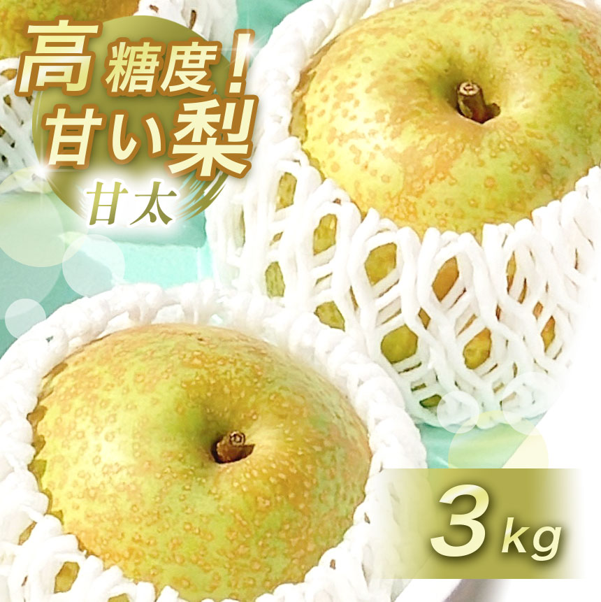 【ふるさと納税】 美祢市産 甘太（かんた） 3kg 先行予約 〈2025年 9月下旬 ～ 発送予定〉｜ 甘太 なし 梨 フルーツ 特産品 美祢市 美祢 山口県 山口 秋芳町 秋芳 秋芳の梨 カルスト台地 先行予約