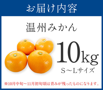 「濃厚な味のとろける美味しさ」温州みかん 10kg《先行予約》