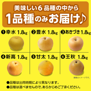 ※贈答用※【フルトリエ】100年以上続く梨農家の完熟梨小箱(1.8kg)_【贈答用】梨 1.8kg 幸水 豊水 あきづき 新高 甘太 王秋 完熟梨 いずれか1種類 フルトリエ 中村果樹園 100年続く