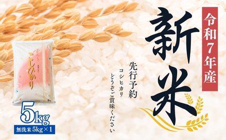 No.2500大文字屋米穀店【令和７年産】コシヒカリ精米（無洗米）1等米 5kg