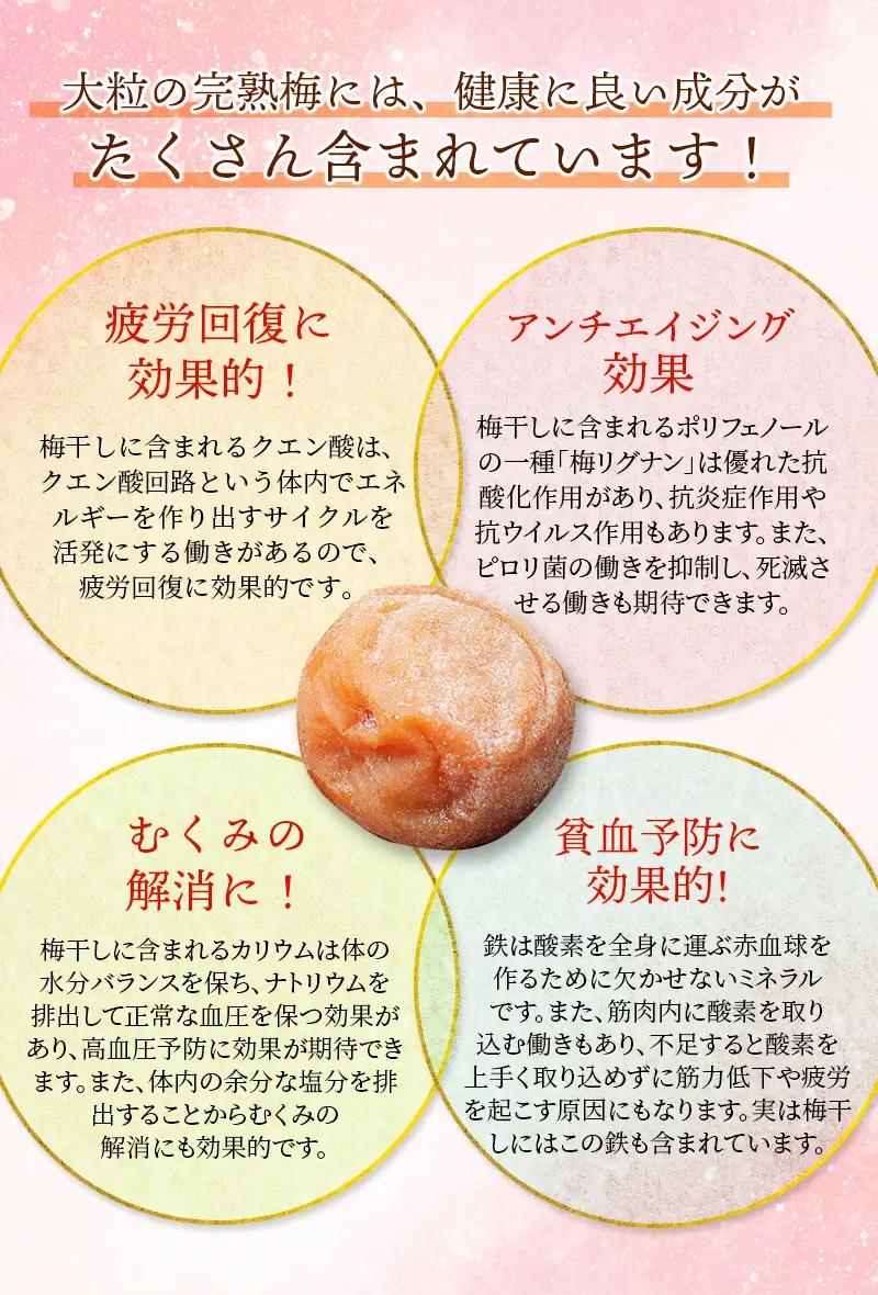 梅干し 無添加 完熟南高梅  2.5kg (1.25kg×2P) 塩分約20％ 梅干し【njb647A】