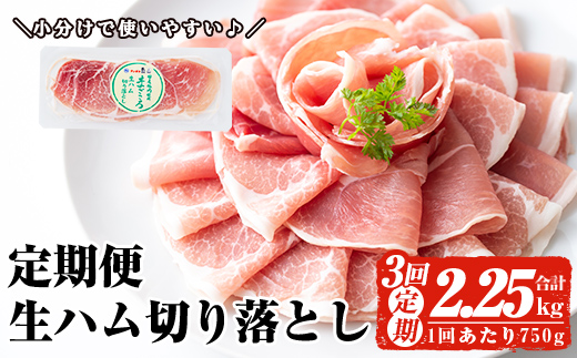 ＜定期便・全3回(連続)＞鹿児島発！国産豚生ハム切り落とし（計2.25kg/計750g・75g×10P×3回） 生ハム おつまみ 小分け 【ナンチク】 T29