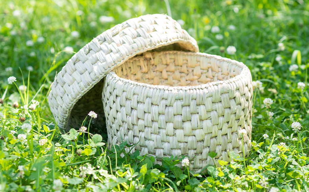 熊本県産 わらいずみ