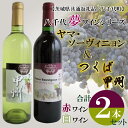 【ふるさと納税】【茨城県共通返礼品／八千代町】八千代夢ワインシリーズ　ヤマ・ソーヴィニョン（赤）・つくば甲州（白）2本セット｜EC-15