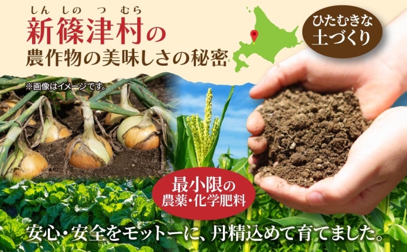 北海道 新しのつ産 とうもろこし プレミアムホワイト 2L 8本