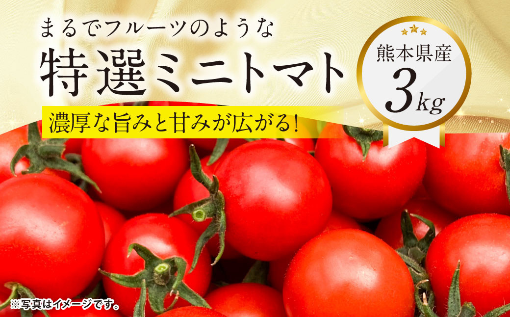 
            『まるでフルーツのような特選ミニトマト』 約3kg 1箱 熊本県産 【2025年12月下旬発送開始】 野菜 やさい トマト とまと ミニトマト
          