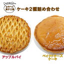 【ふるさと納税】タカハシ菓子工房　ケーキ2種詰合せ（アップルパイ、ベイクドチーズケーキ）