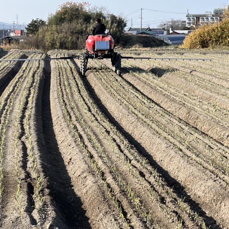 【淡路島玉ねぎ・サイズ混合】三世代で紡ぐ味淡路島の玉ねぎ 10Kg◆配送6月上旬～8月中旬