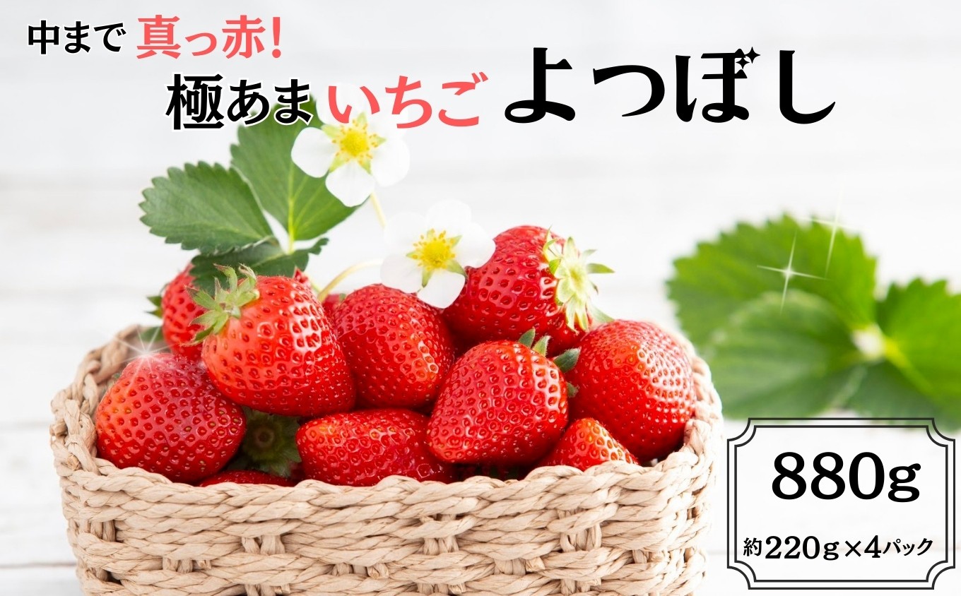 
            ＜先行予約受付中・令和8年1月中旬以降順次発送＞中まで真っ赤！極あまいちご「よつぼし」880g（220g×4パック）［A0212-0010］
          