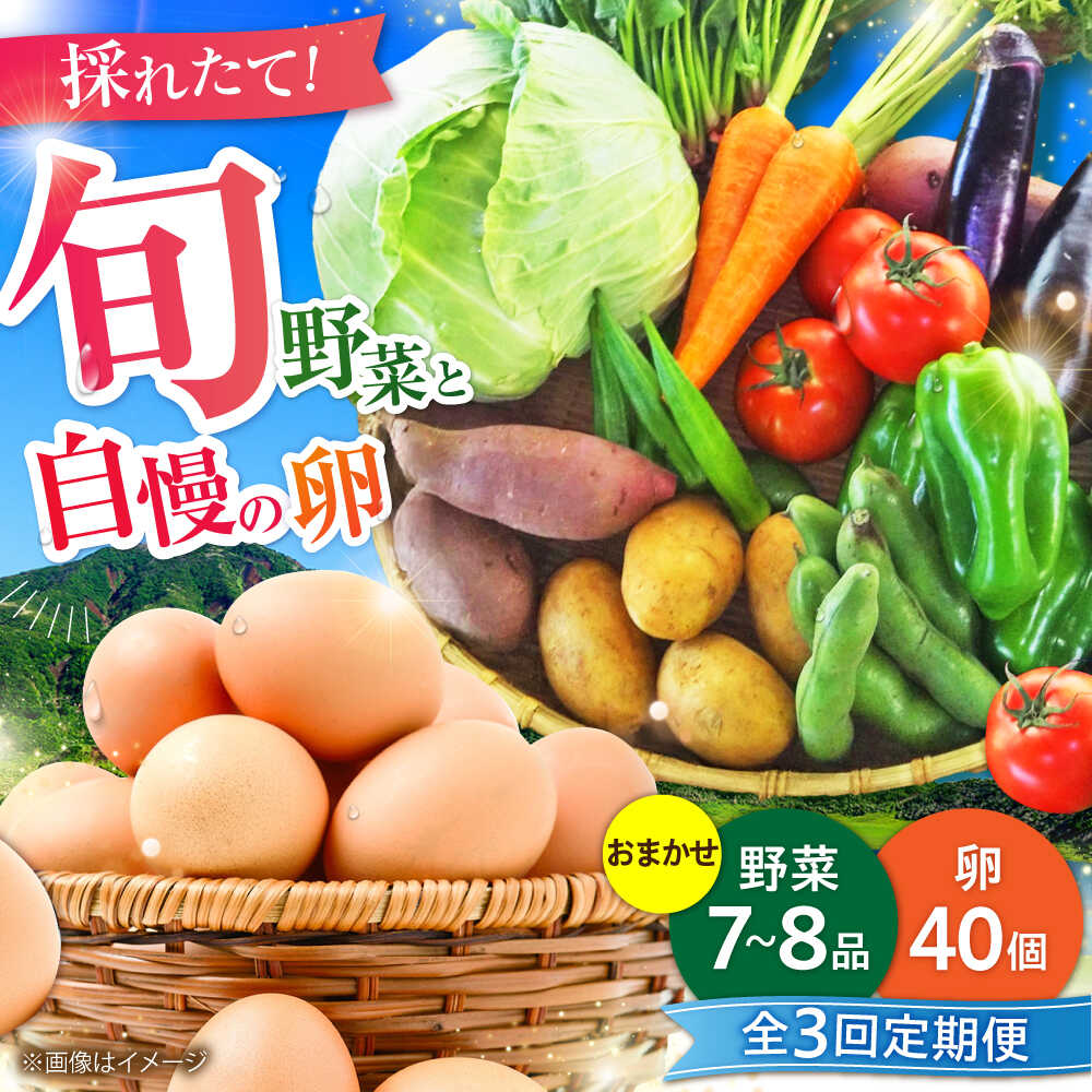 【ふるさと納税】【全3回定期便】【数量限定】新鮮たまごと旬の野菜セット(野菜7~8品程度＋40個) / たまご 生卵 タマゴ 詰合せ セット 野菜 新鮮 旬 定期便 熊本県 特産品【有限会社さんふれあ】[BHAK009]