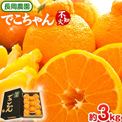 【ふるさと納税】【先行受付】でこちゃん ( デコポン )と同品種 不知火 11玉 長岡農園《2026年2月中旬-4月上旬頃より出荷》 和歌山県 日高川町 不知火 旬 柑橘 フルーツ 果物