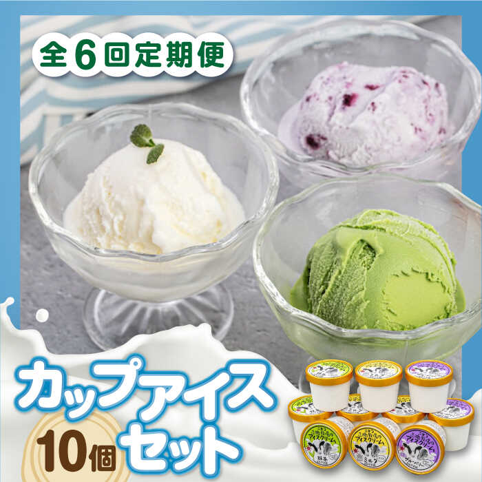【ふるさと納税】【全6回定期便】 カップアイスセット 10個 《喜茂別町》【ニセコリゾート観光協会/ミルク工房】 アイス アイスクリーム ジェラート ミルク 抹茶 ブルーベリー 詰め合わせ ギフト 冷凍配送 北海道 定期便 定期 [AJAI057] 66000 66000円