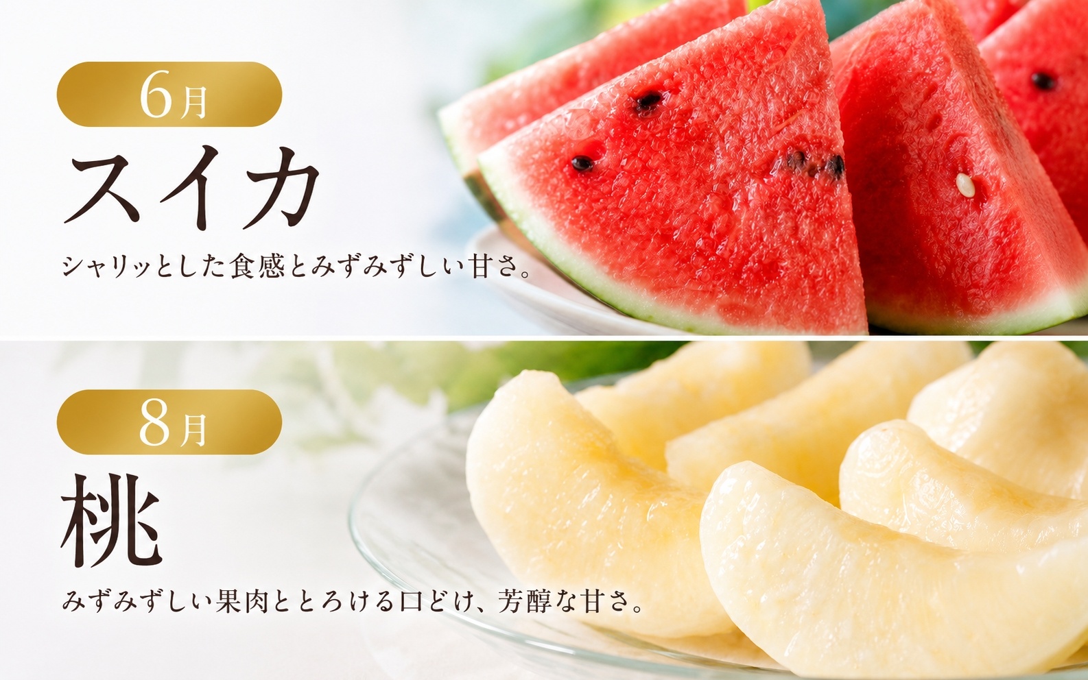 【発送月固定定期便】紀州和歌山産旬のフルーツセット(不知火・清見・スイカ・桃・柿・みかん)全6回 【tkb454】