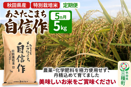 《定期便5ヶ月》【白米】あきたこまち 自信作 5kg(5kg×1袋)×5回 令和6年産  