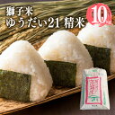 【ふるさと納税】 【令和6年産】獅子米 ゆうだい21 精米 10kg お米 白米 米 おこめ ブランド米 ゆうだい ユウダイ21 10キロ 国産 単一原料米 コメ こめ ご飯 茨城県産 茨城 産直 産地直送 農家直送 ごはん 家庭用 贈答用 お取り寄せ ギフト 茨城県 石岡市 送料無料 (G431)