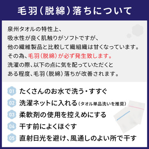 【泉州タオル】泉州美人 バスタオル1枚 ギフト 雲母 タオル バスタオル タオルギフト 泉州バスタオル バスタオルセット 【配送不可地域：北海道・沖縄・離島】【039D-195】