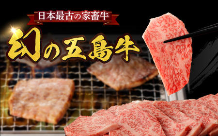 【全3回定期便】【幻の和牛を様々なお料理で！】五島牛 切り落とし 約500g 3〜4人前【カミティバリュー】[RBP076]