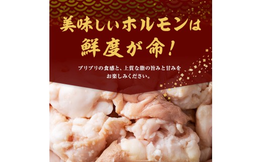 国産黒毛和牛ホルモン もつ鍋セット【醤油味】(10～15人前) 黒毛和牛 肉 牛肉 国産 もつ鍋 モツ鍋 ホルモン タレ 鍋 焼肉 バーべキュー 小分け a7-044