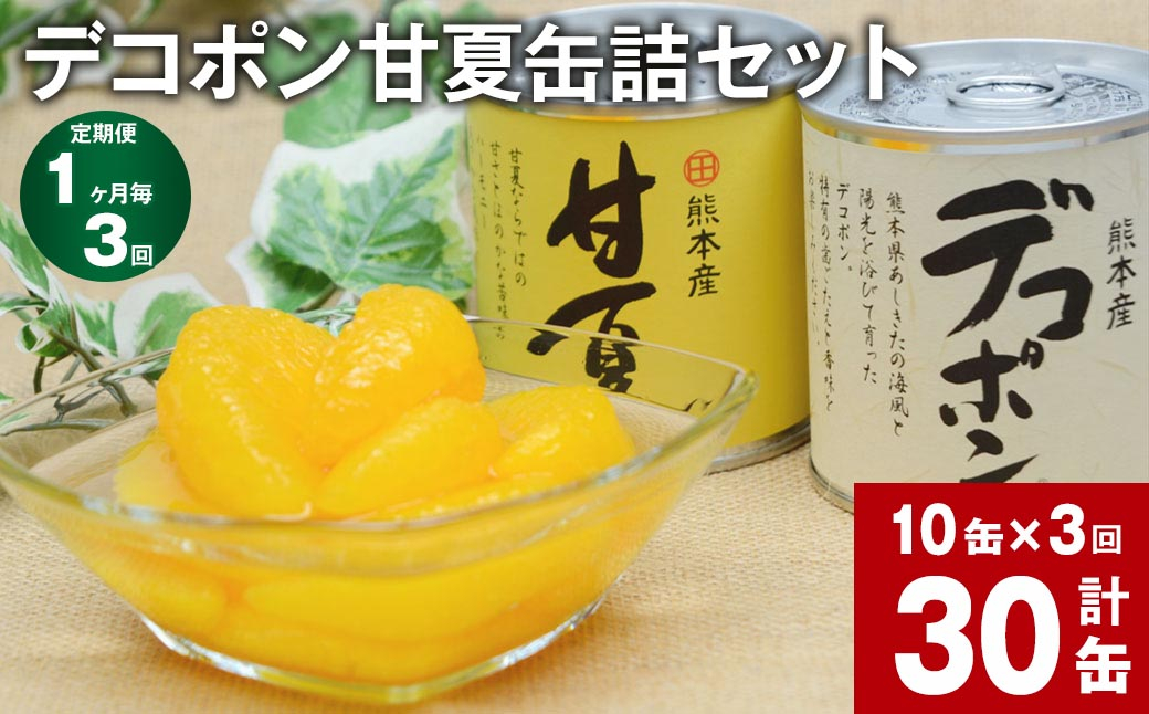 
【1ヶ月毎3回定期便】 デコポン甘夏缶詰セット 10缶入（各5缶）×3回 果物 柑橘 フルーツ
