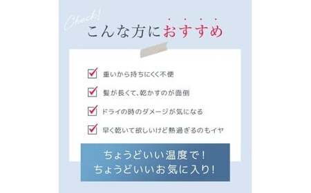 Iversan 大風量 ヘアドライヤー　ブラック　【11100-1730】