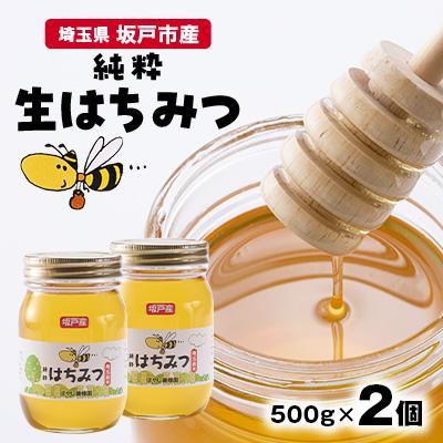 ふるさと納税 坂戸市 純粋生はちみつ〈非加熱〉500g×2個入り【坂戸市産】