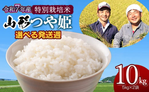 【令和7年産先行予約・発送時期11/10～11/16】 特別栽培米 山形つや姫 精米10kg(5kg×2袋)　山形県鶴岡市産　鶴岡ファーマーズ