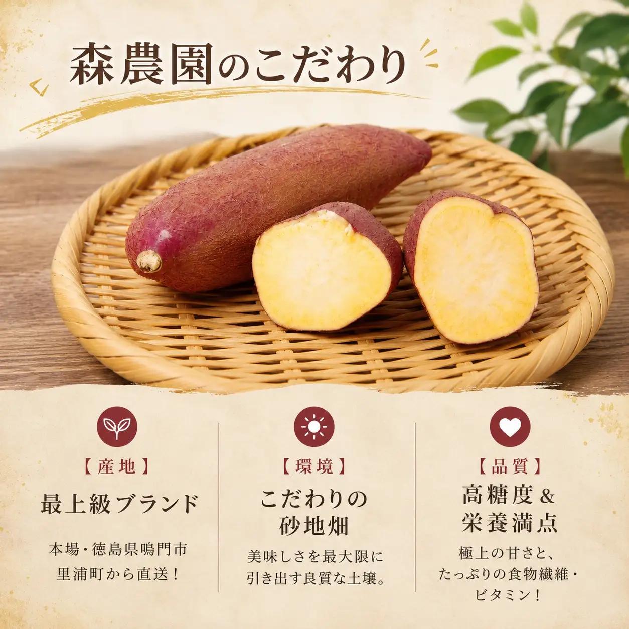鳴門金時 3kg 【8月中旬発送】 家庭用 S~Mサイズ