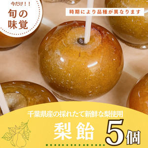 梨飴 5個  【 梨 】