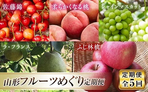 《先行予約 2026年発送》山形フルーツめぐり定期便【全5回】 FSY-2334
