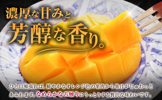 『太陽のタマゴ』 宮崎 完熟マンゴー 2L×2玉（1玉350～459g） 宮崎県産 トロピカル フルーツ 贈答 お取り寄せ 果物 旬