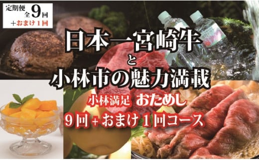 
【定期便・全9回＋おまけ1回】日本一宮崎牛と小林市の魅力満載。小林満足おためし定期便　10万円コース（国産 牛肉 国産牛 和牛 黒毛和牛 フルーツ お菓子 豚肉 鶏肉 日用品 食材）
