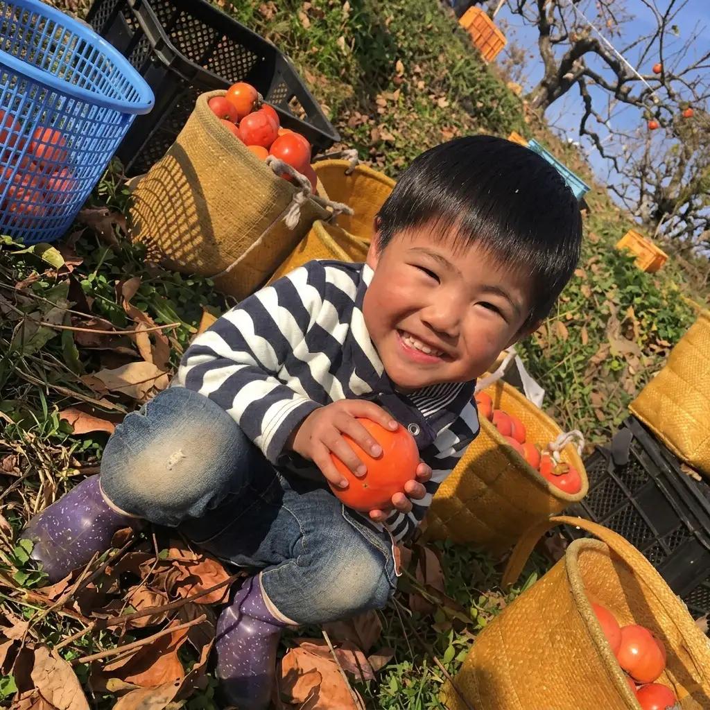柿 富有柿 早生 Lサイズ 14～15玉入 かき カキ 柿