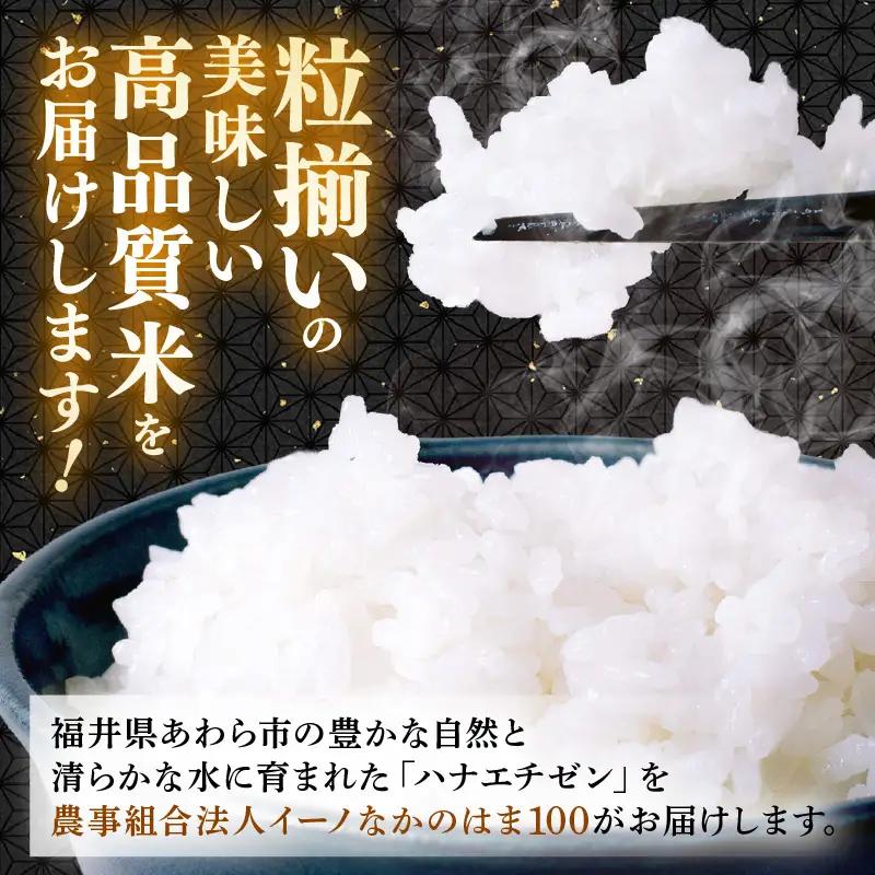 【先行予約】【令和8年産】ハナエチゼン 精米 5kg（農事組合法人イーノなかのはま100）お米 ※2026年10月より順次発送予定 [aw139-a001]
