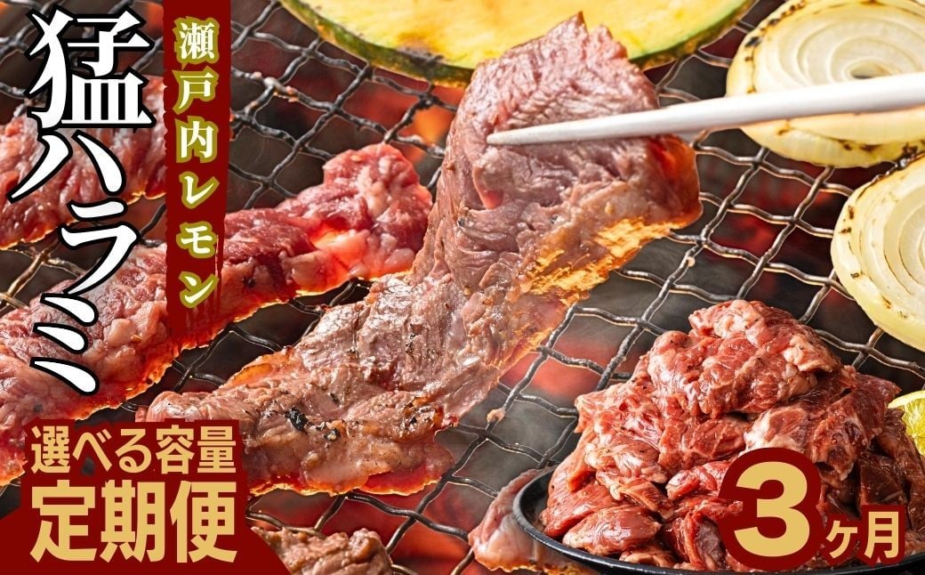 
            【選べる容量！定期便】牛ハラミ定期便 3ヶ月 瀬戸内レモン潮だれ 竹原のタケハラミ【肉 訳あり 小分け 真空パック 冷凍 牛肉 ハラミ 味付き 焼肉 BBQ 尾野精肉店 広島県 竹原市】
          