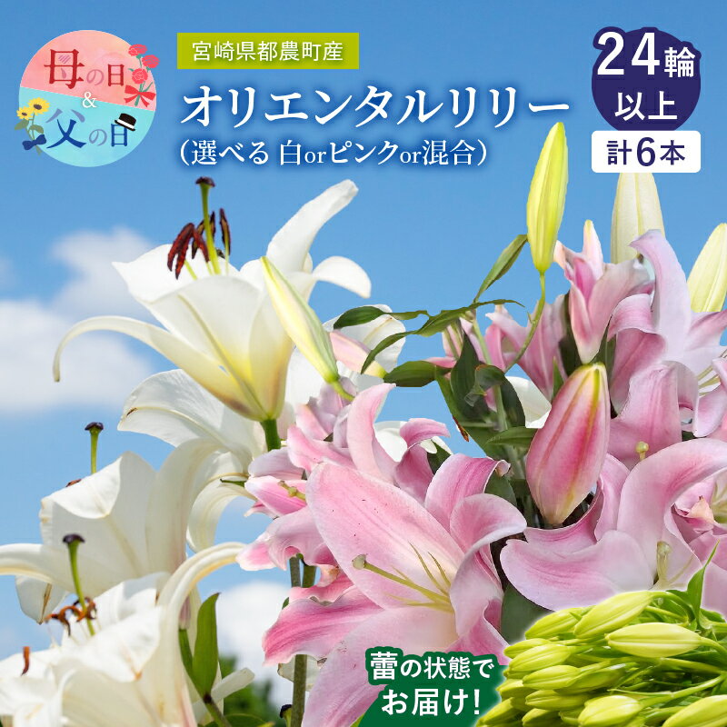 【ふるさと納税】【2週間以内発送】色が選べる オリエンタルリリー ユリ 計6本 お花 母の日 父の日 ヤマユリ カノコユリ 白 ピンク ゆり 百合 香り アレンジメント インテリア 飾り おしゃれ フラワーギフト 花束 贈り物 贈答 ウエディング ブーケ 宮崎県 都農町 送料無料