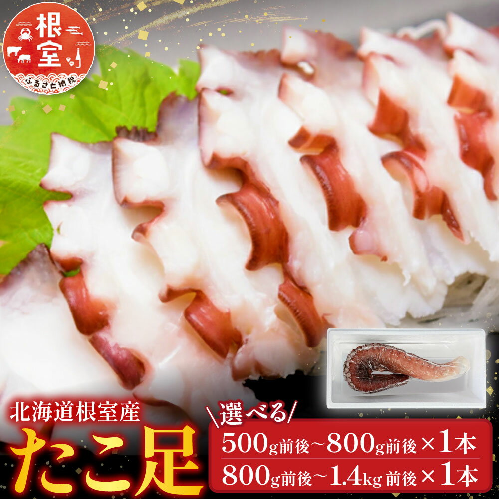 【ふるさと納税】 [北海道根室産] たこ足 500g 前後 ~ 800g 前後 × 1 本、800g 前後 ~ 1.4kg 前後 × 1 本 選べる タコ 蛸 刺身 お取り寄せ グルメ 海鮮 蛸足 タコあし 蛸あし たこあし 北海道 根室市 ふるさと納税
