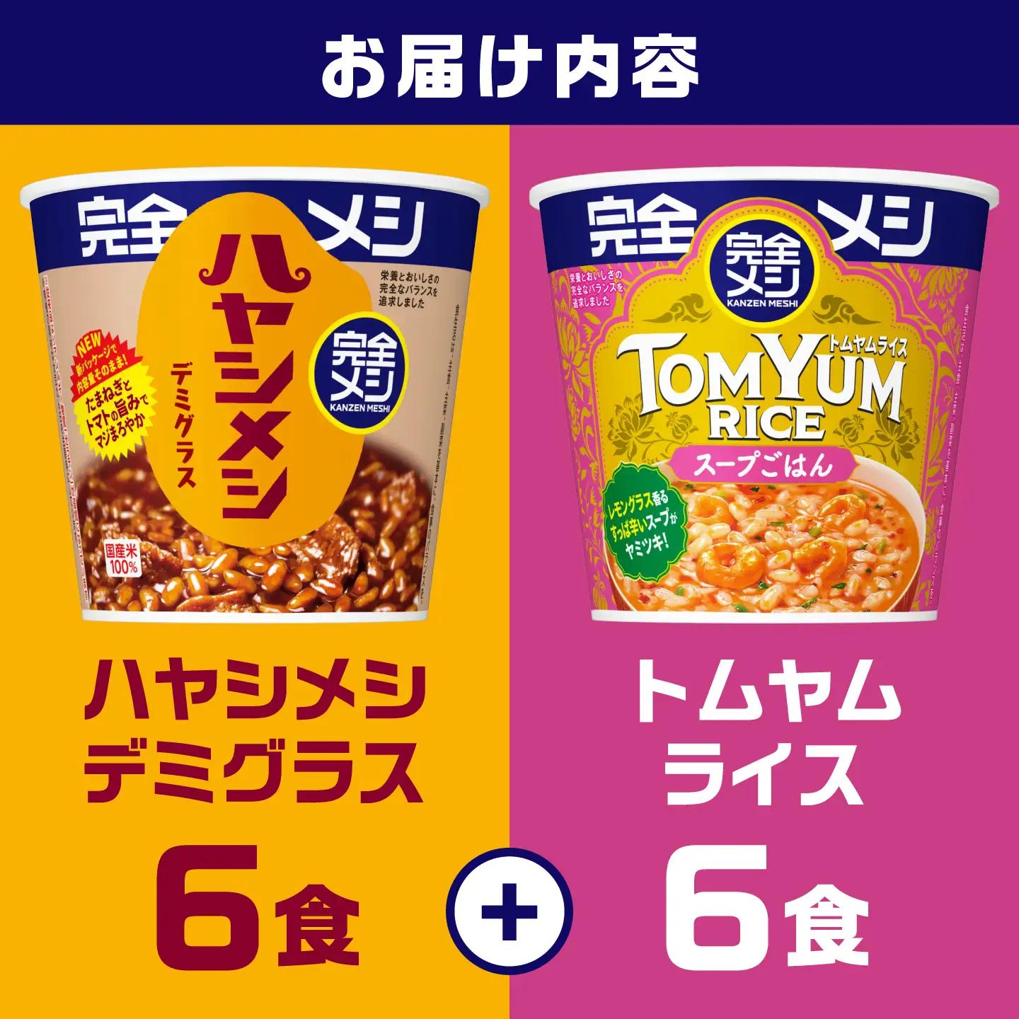 完全メシ ハヤシメシ デミグラス × トムヤムライス 計2ケース（各1ケース）/ 完全メシ ハヤシメシ トムヤムライス ハヤシライス エスニック 非常食 保存食 / 栗東市 / 日清食品株式会社[BI