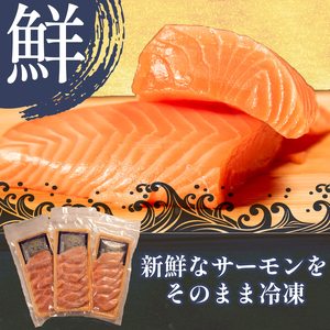 【 サーモン 】漬け丼 11食