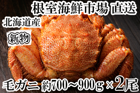 ＜12月8日決済分まで年内配送＞根室海鮮市場[直送]ボイル毛がに450～550g×2尾 F-28017