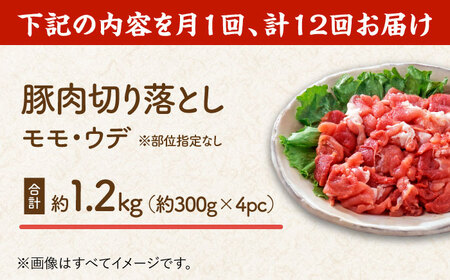 【12回定期便】豚肉切り落とし（モモ・ウデ部位指定なし）約1.5kg（5pc）【吉里精肉】[ZEW086]