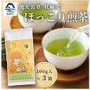 【ふるさと納税】ほっこり煎茶 100g×3袋 A5-1_鹿児島茶 緑茶 かごしま茶 一番茶 特上 煎茶 セット 人気 茶葉 香り高い 深い味わい お茶 旨み 甘み 国産 お取り寄せ 茶 鹿児島県 枕崎市 送料無料【1440015】