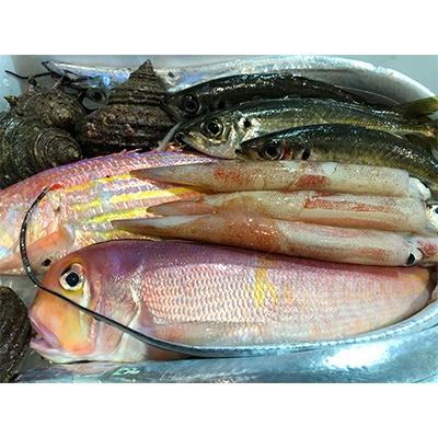ふるさと納税 八幡浜市 竹中水産の「豪華鮮魚ボックス約4キロ」!【H22-234】