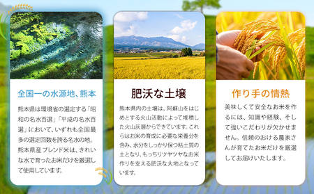 【6ヶ月定期便】ひごみのり 無洗米 熊本県産 ブレンド米 20kg 熊本県産 ふるさと納税  精米 米 こめ ふるさとのうぜい コメ お米 おこめ《申込み翌月から発送》