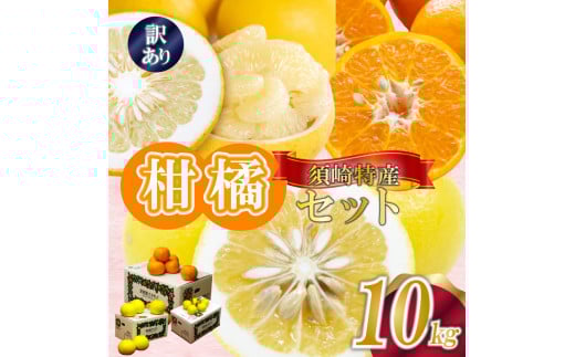 定期便 3回 限定50セット 須崎特産柑橘 訳あり 大小混合品 各 10kg 箱セット 計 30kg ポンカン 土佐文旦 小夏 時期人気 旬 柑橘 フルーツ 果物 高知 須崎 KJS15000