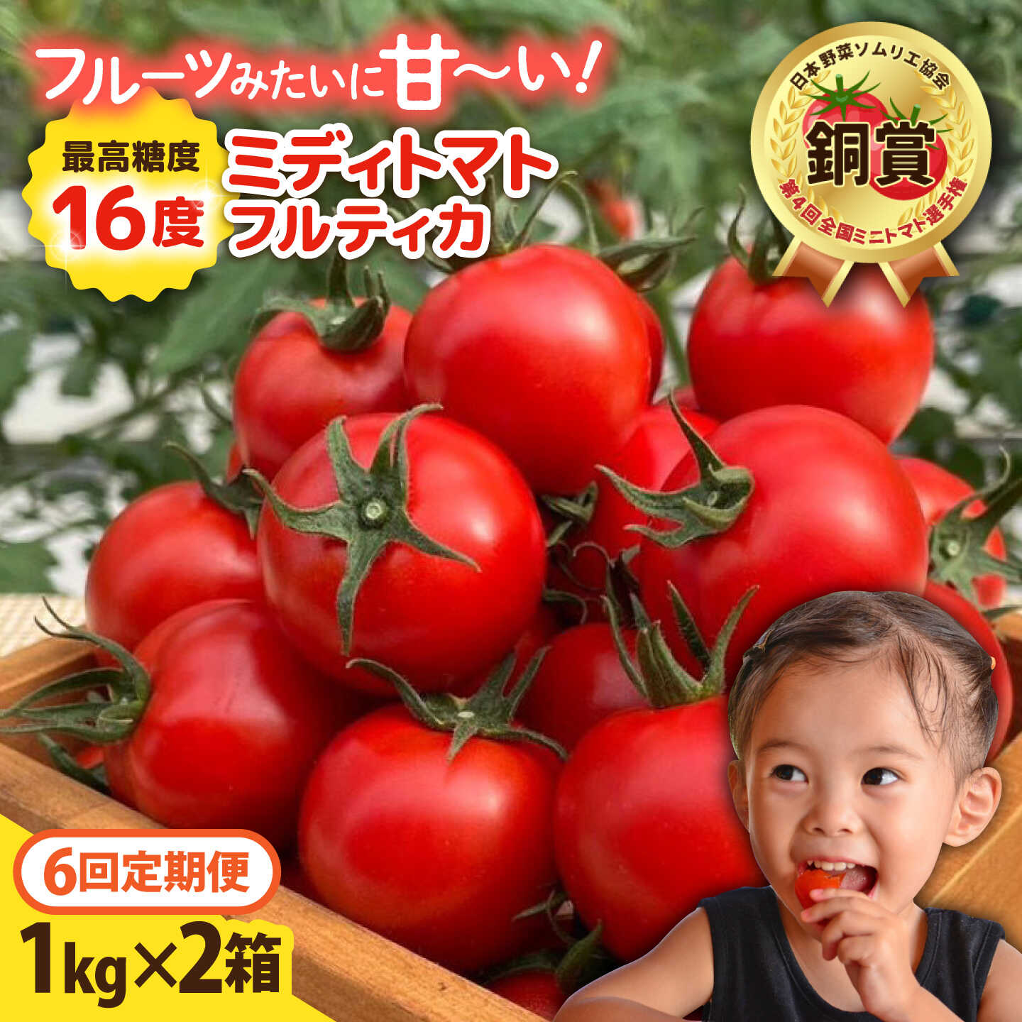 【ふるさと納税】【先行予約】【全6回定期便】 フルティカ 2kg (1kg×2箱) 糸島市 / かわぞえ農園 【2026年11月以降順次発送】[AAM013] 10万円 146000円