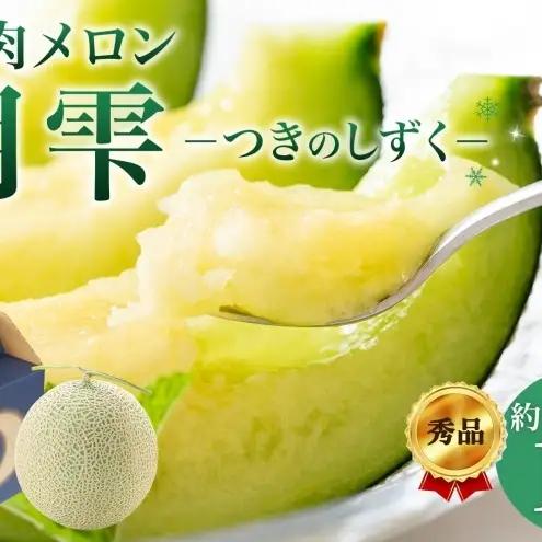 メロン 青肉 月雫 秀品 北海道産 メロン【1玉 約1.6kg】【先行予約】