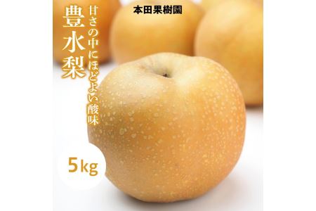 「豊水梨」 梨 なし 5kg | 先行予約 数量限定 贈答用 なし 梨 果物 くだもの フルーツ ナシ 旬 豊水 栃木県 上三川町 本田果樹園 ※2026年9月～発送