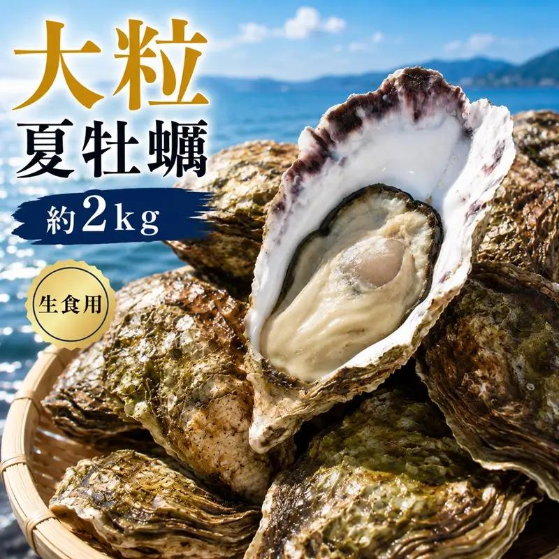 多度津白方 りょうせん 大粒夏牡蠣約２kg（生食用）【B-77】